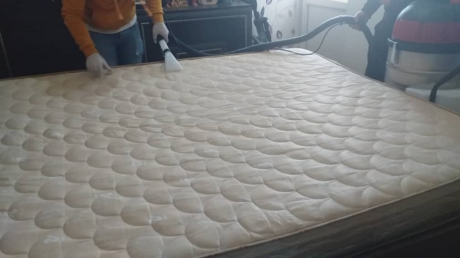 نتیجه عالی مبل شویی تخصصی